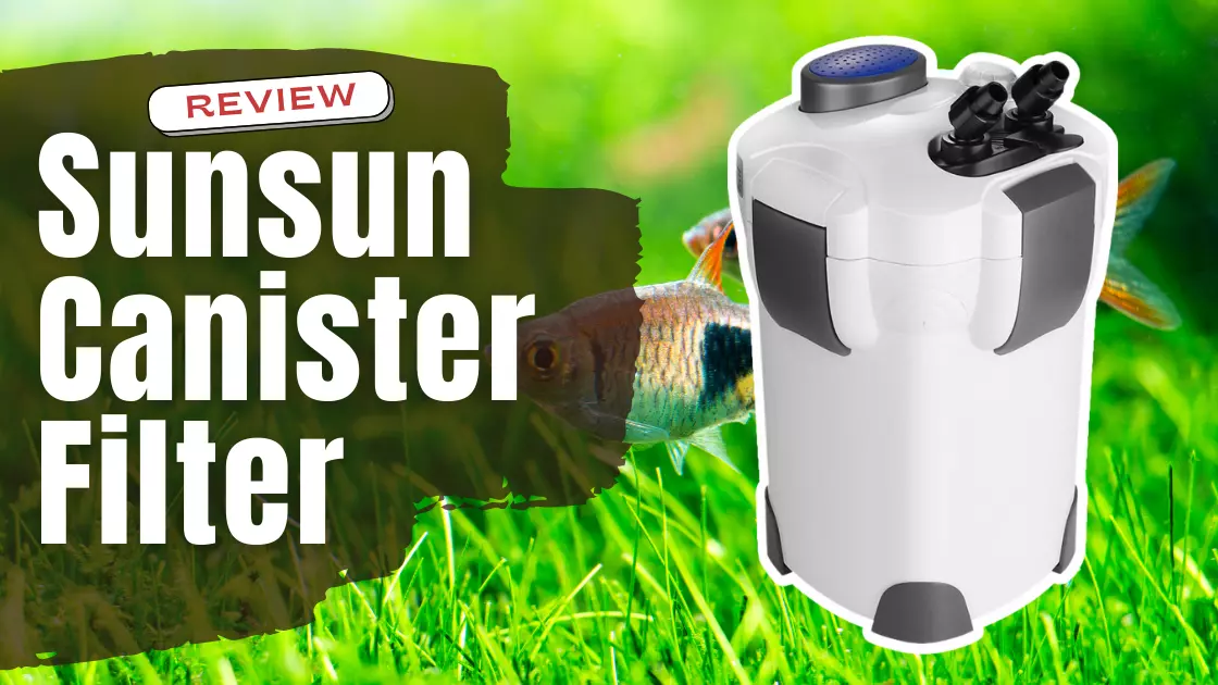 Sunsun HW-304B 5-Stage External Canister Filter Review 2022