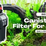 Best Canister Filter for 20 Gallon Tank