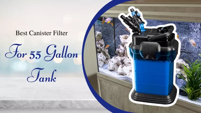 Best Canister Filter for 55 Gallon Tank