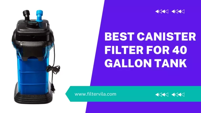Best Canister Filter For 40 Gallon Tank