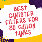 Best Canister Filters For 30 Gallon Tanks - Our 9 Top Picks
