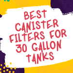 Best Canister Filters For 30 Gallon Tanks