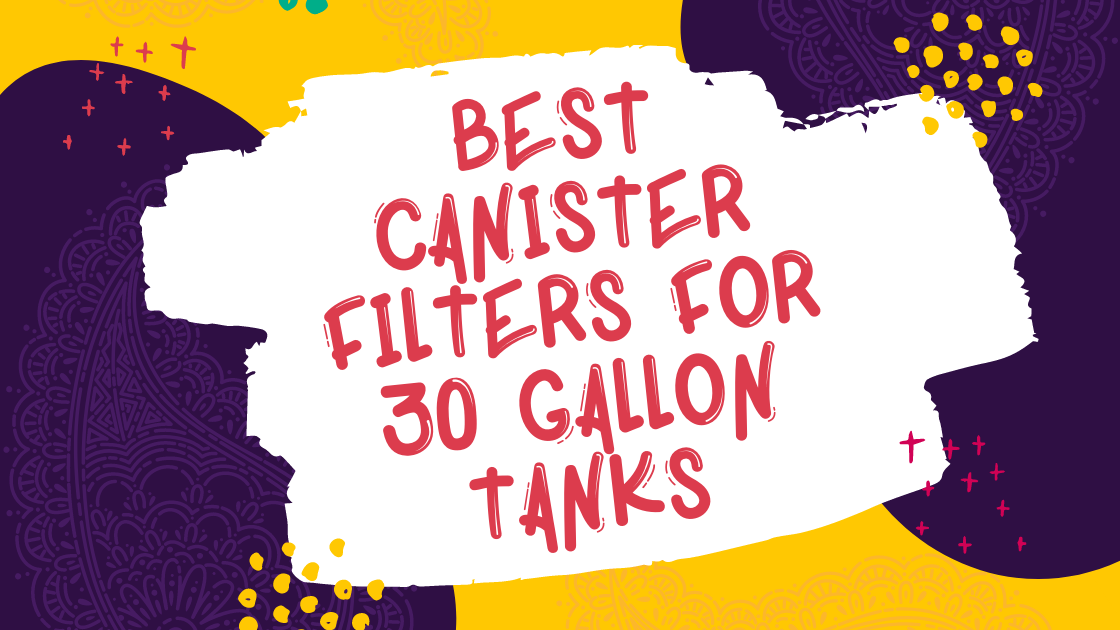 Best Canister Filters For 30 Gallon Tanks