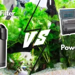 Canister Filter Vs Power Filter