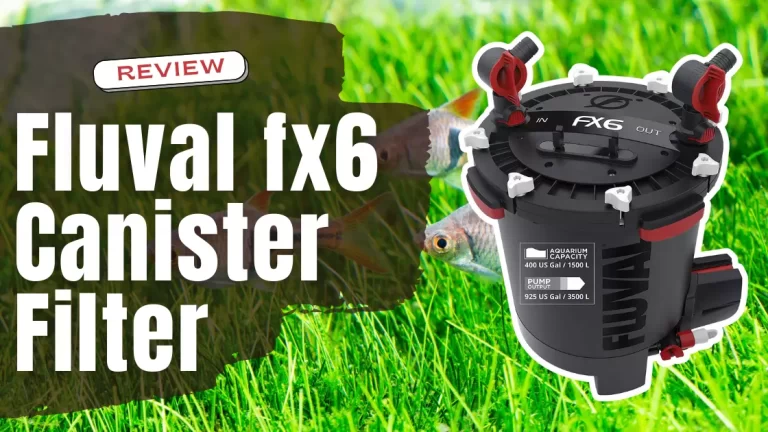 Fluval fx6 Canister Filter Review