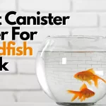 6 Best Canister Filter For Goldfish Tank - [Expert Reviews]