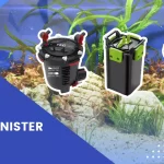 Best Canister Filters - Top Ten (Reviewed July 2022)
