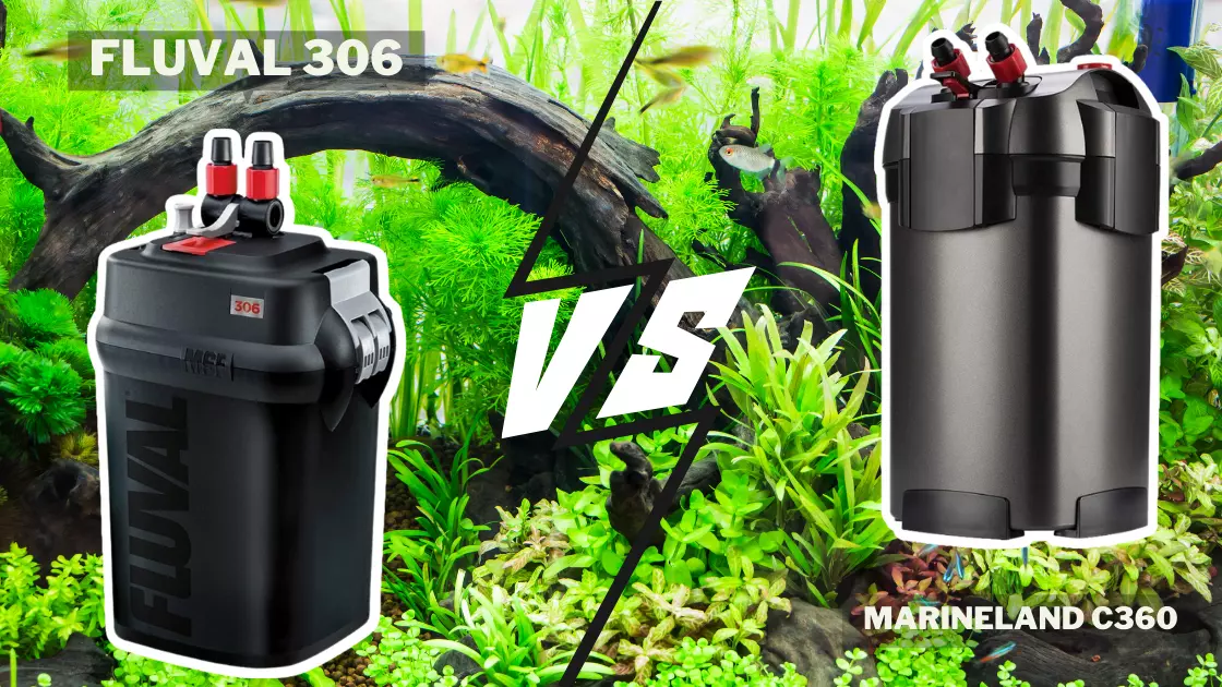 Fluval VS Marineland Canister Filter