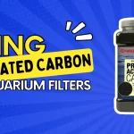 Using Activated Carbon In Aquarium Filters