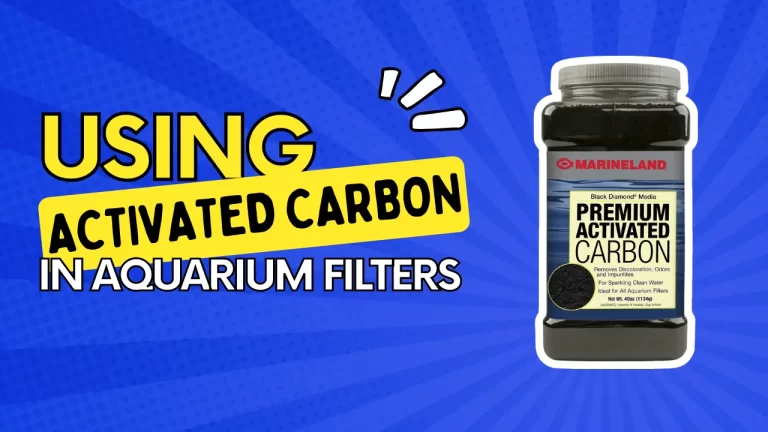 Using Activated Carbon In Aquarium Filters