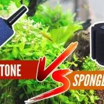 airstone vs sponge filter