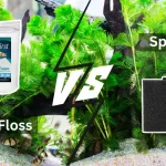 Filter Floss Vs Sponge