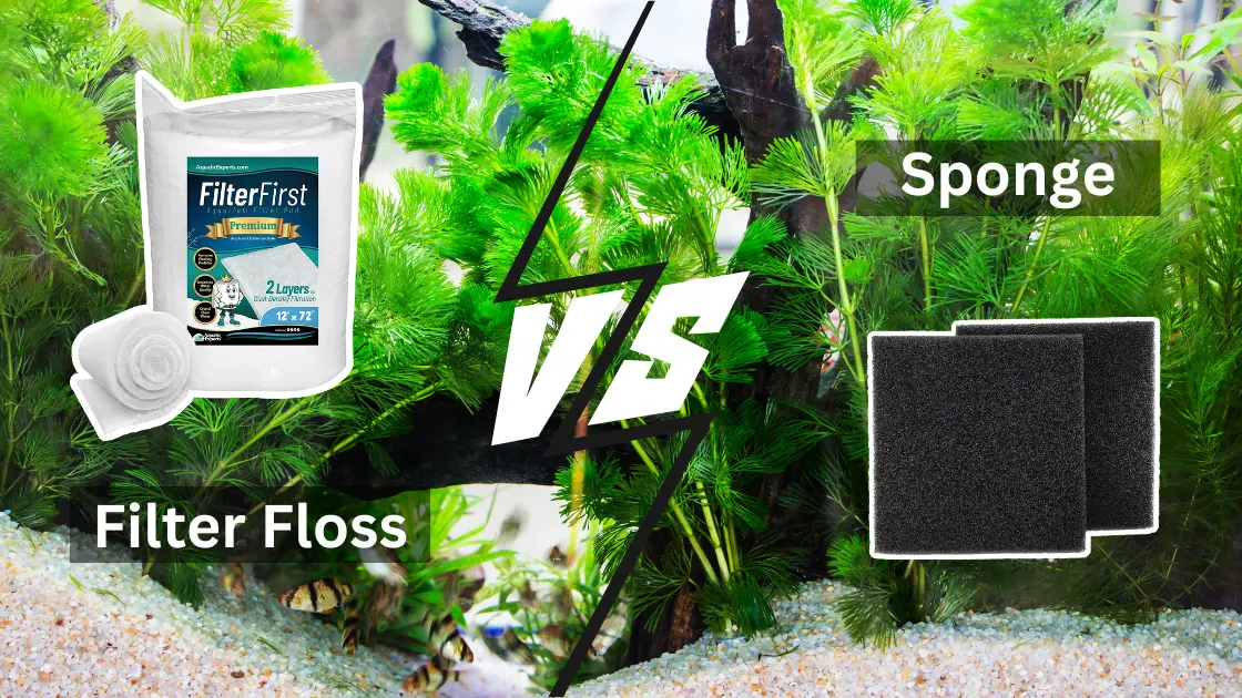 Filter Floss Vs Sponge